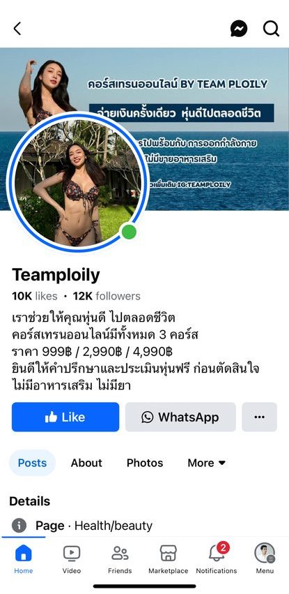 ผลงานของ M Creation กับ TEAMPLOILY