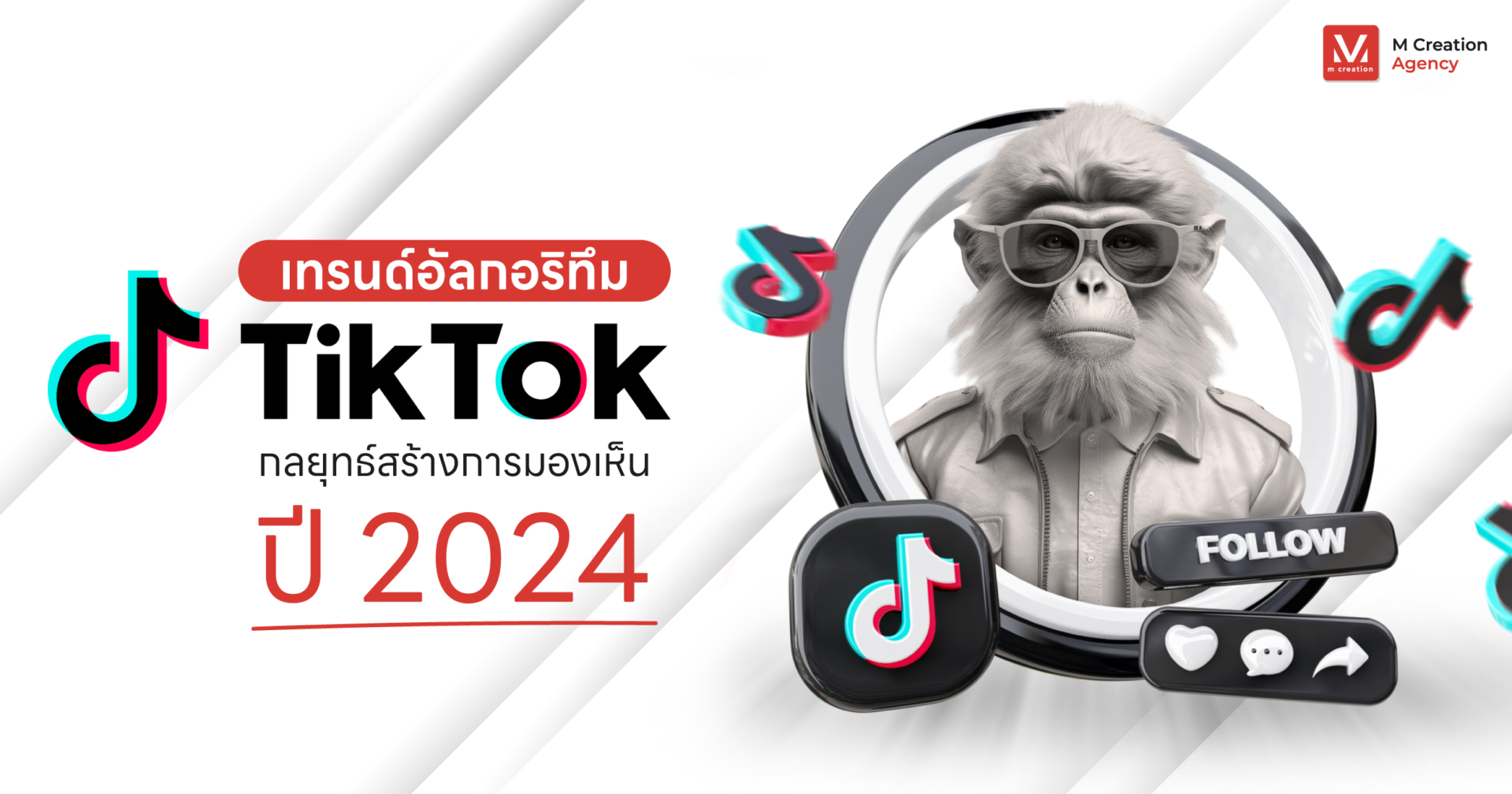 เทรนด์อัลกอริทึม TikTok กลยุทธ์สร้างการมองเห็น ล่าสุดปี 2024